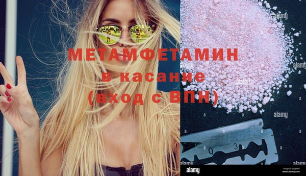 прущие грибы Абдулино
